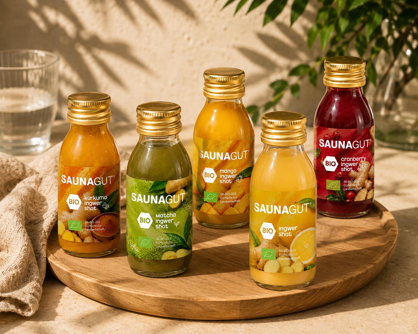 BIO - INGWER SHOT Mix-Paket- 24 x 60 ml  ( 5x Cranberry - Ingwer, 5x Doubleshot - Ingwer, 5x Kurkuma - Ingwer, 5x Mango - Ingwer , 4x Matcha - Ingwer)