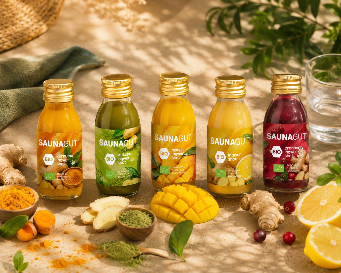 BIO - INGWER SHOT Mix-Paket- 24 x 60 ml  ( 5x Cranberry - Ingwer, 5x Doubleshot - Ingwer, 5x Kurkuma - Ingwer, 5x Mango - Ingwer , 4x Matcha - Ingwer)