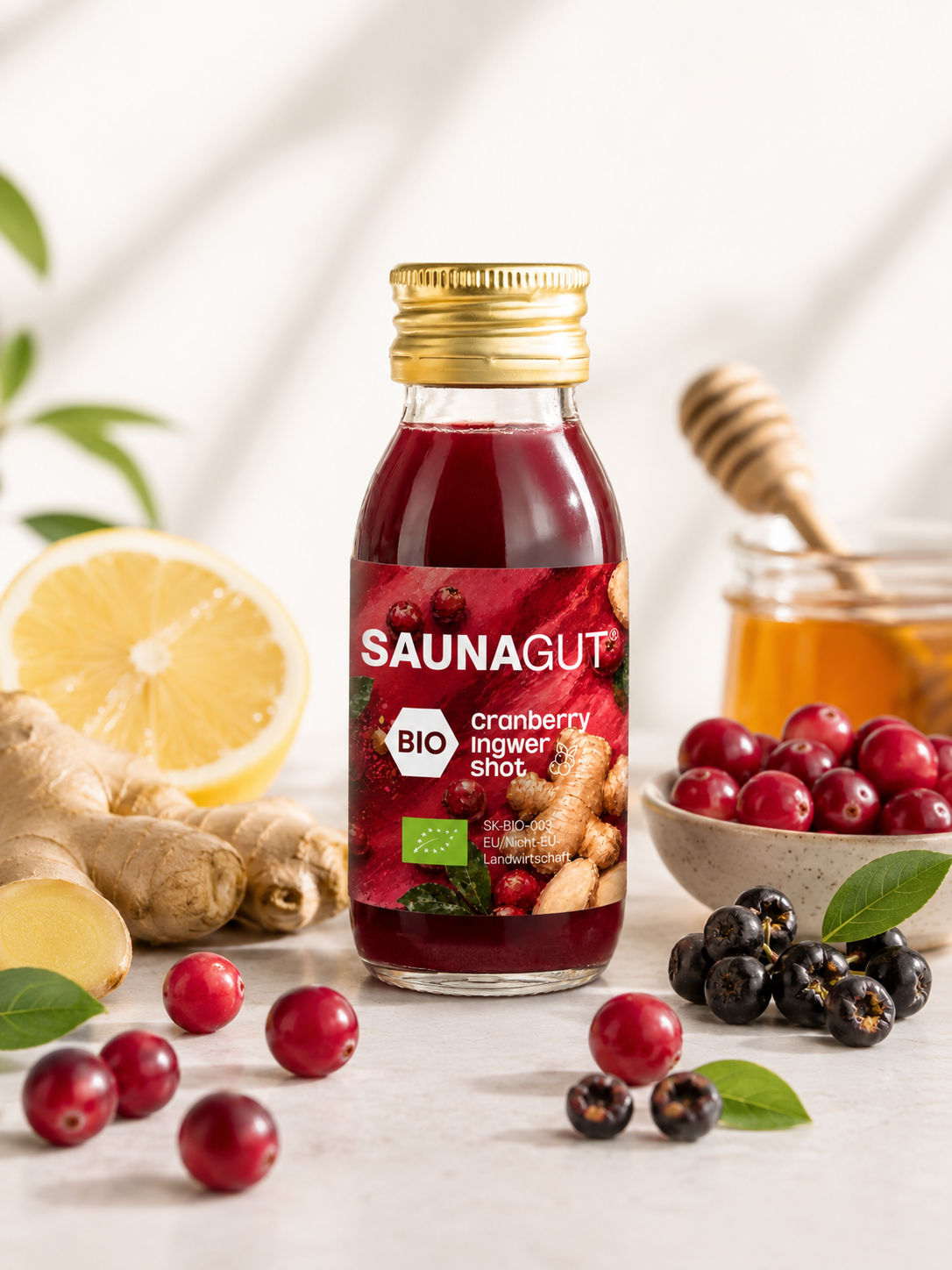 BIO CRANBERRY - INGWER SHOT – 24x Pack je 60ml