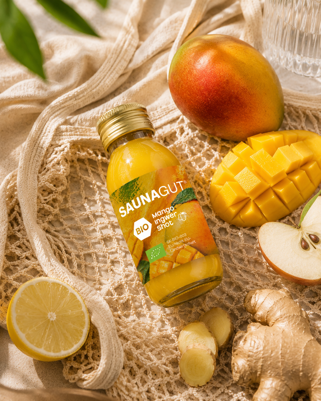 BIO MANGO - INGWER SHOT - 24x Pack je 60ml
